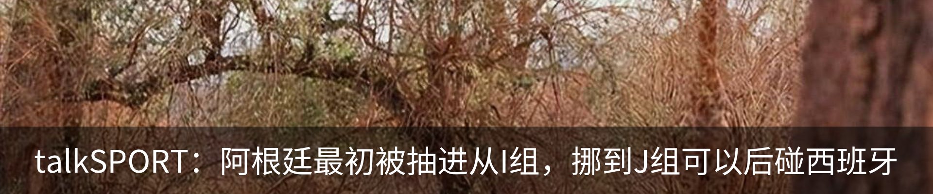 资讯中心